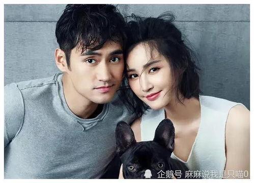 小田娱乐圈吃瓜爆料微博,揭秘明星幕后故事